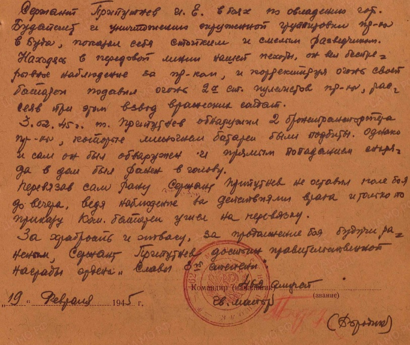 priputnev.i.e