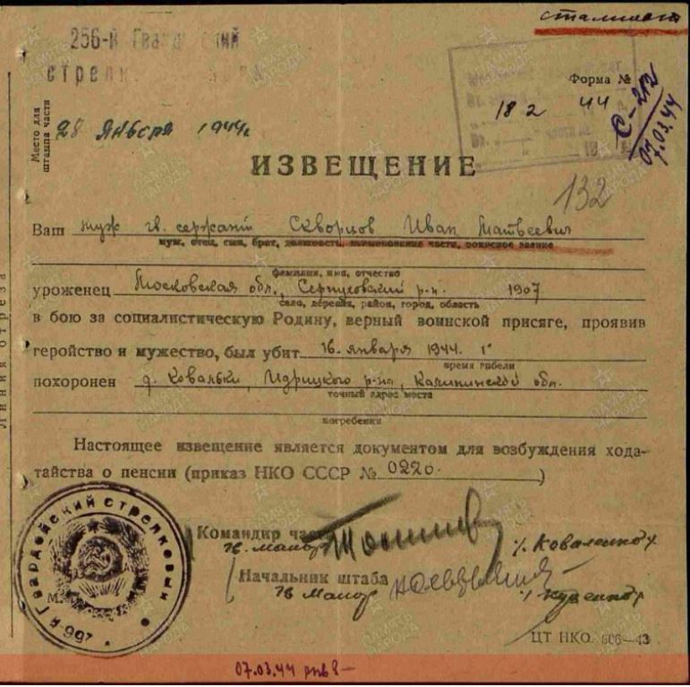 skvorcov i m