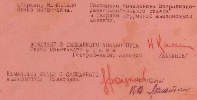 nechitaylo.i.m.3