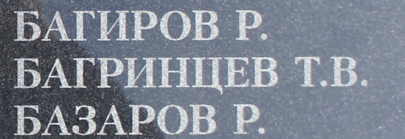 bagrincev t v 1