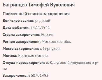 bagrincev t v
