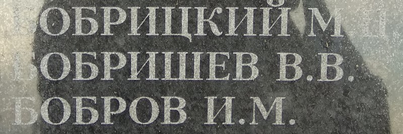 bobrishev v v 1