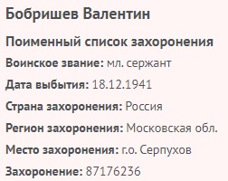 bobrishev v v