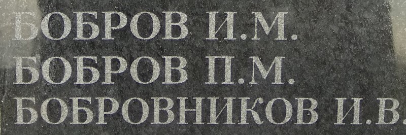 bobrov p m