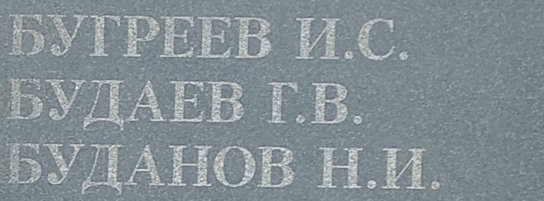 budaev g v