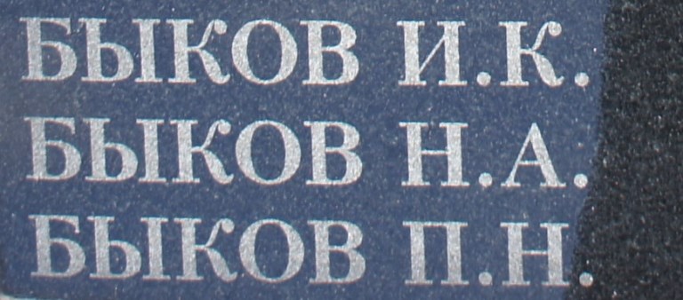 bykov n a 1