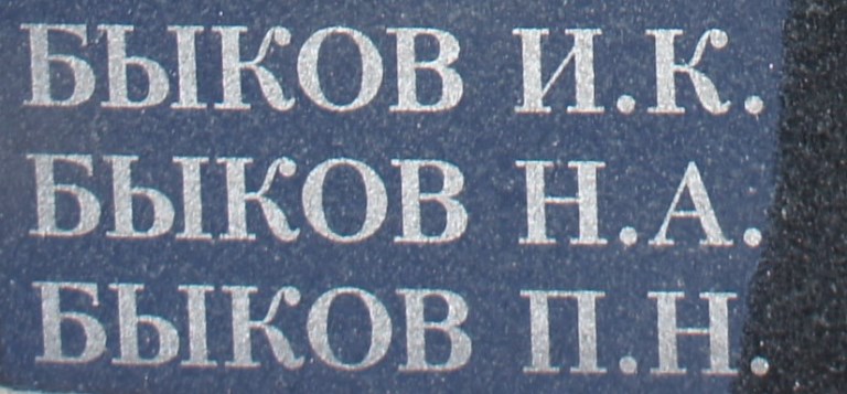 bykov p n 1