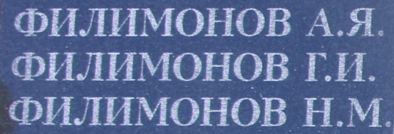 filimonov g i