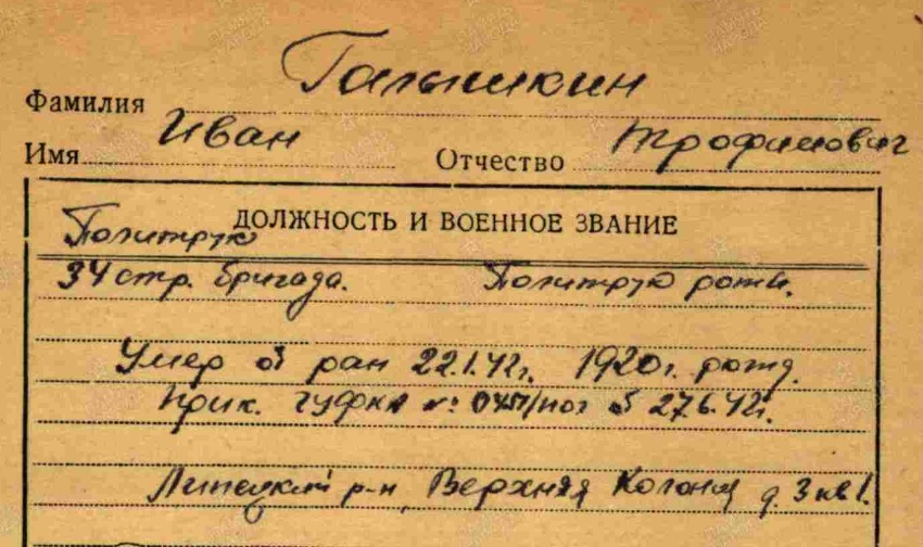 golyshkin i t