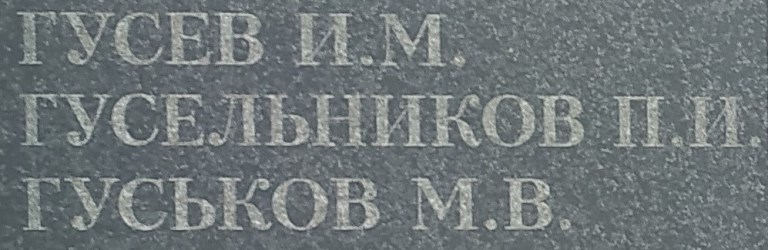 guselnikov p i