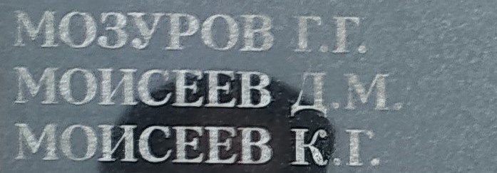 moiseev d m