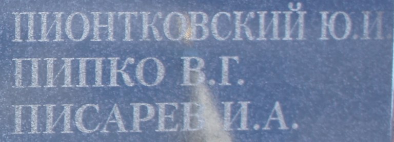 pipko v g