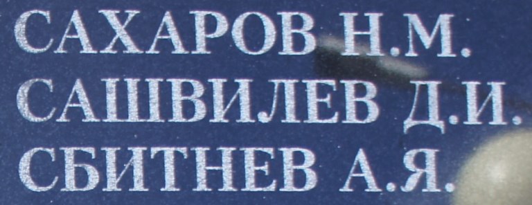 sashvilev d i
