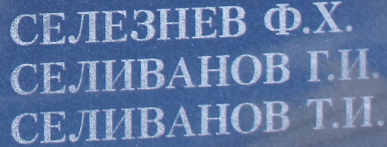 selivanov g i