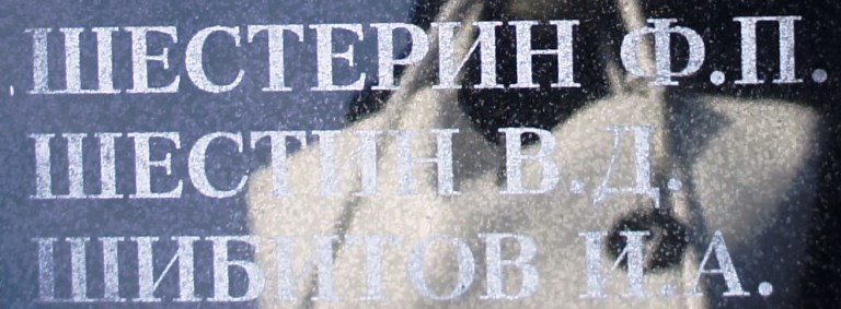 shesterin f p