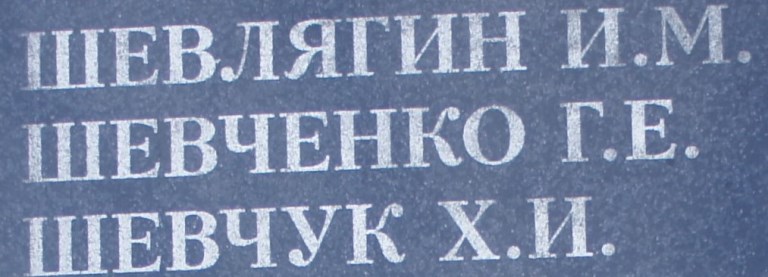 shevchenko g e