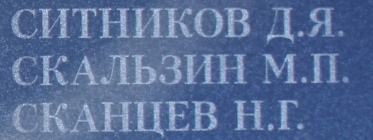 skalzin m p