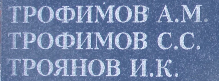trofimov s s 2
