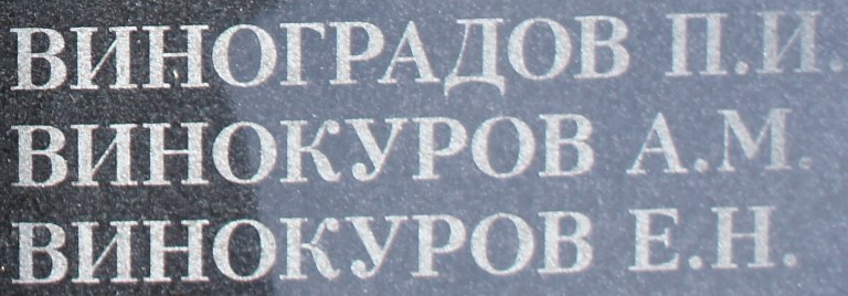 vinokurov a m