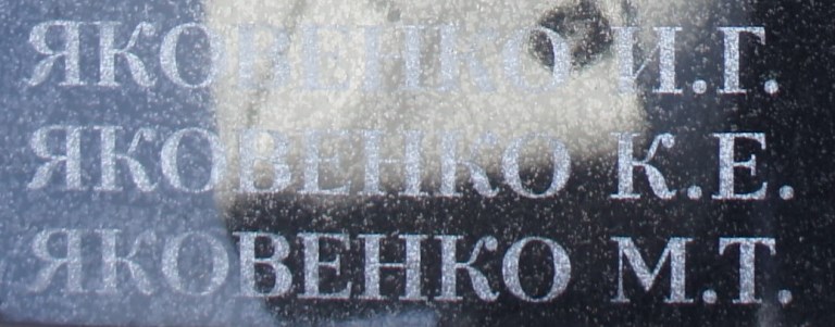 yakovenko m t
