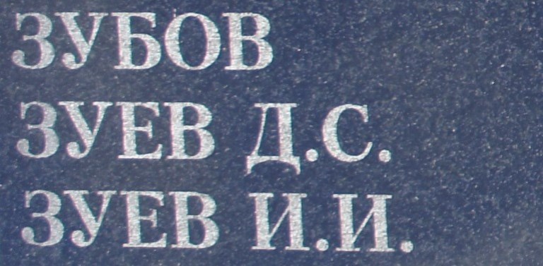 zuev d s