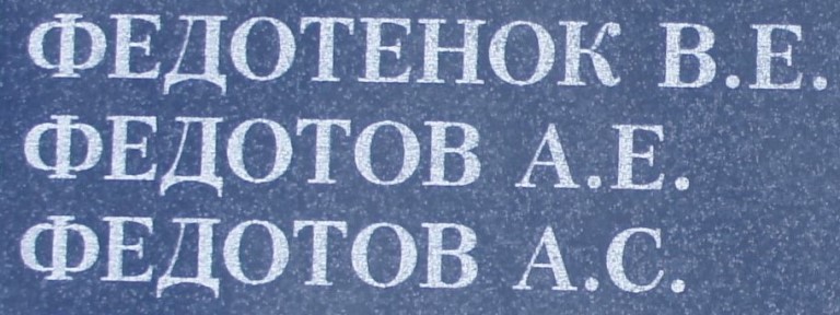 fedotov a e