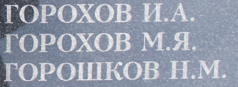 gorohov m ya 1