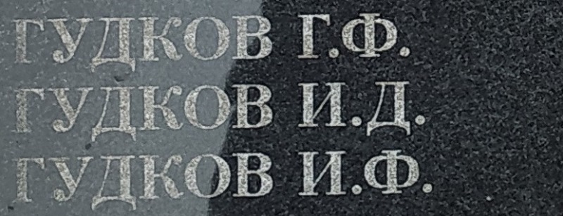 gudkov i f