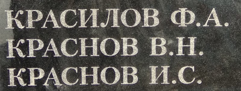 krasnov v n 1