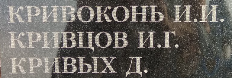 krivcov i g