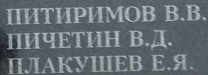 plakuschev e ya 1
