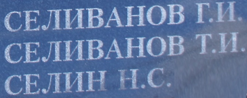 selivanov t i 2