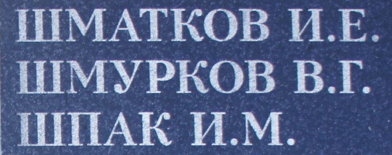 shmurkov v g