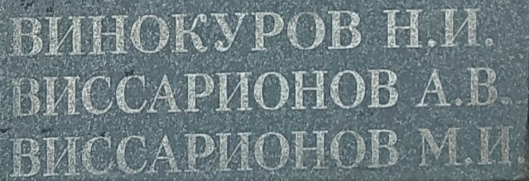 vissarionov a v