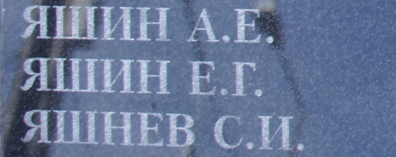 yashin e g