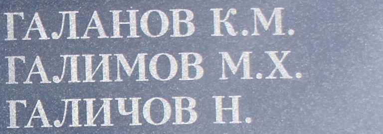 galimov m h