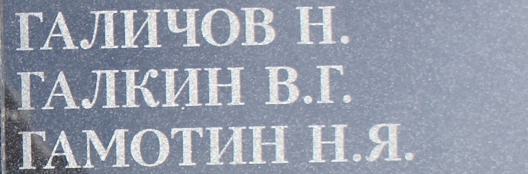 galkin v g