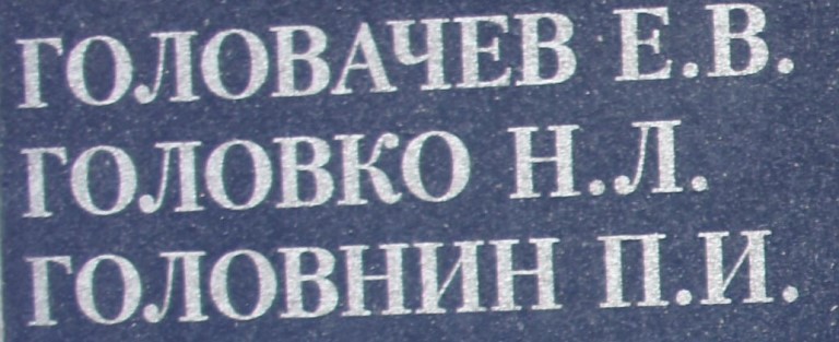 golovko n l