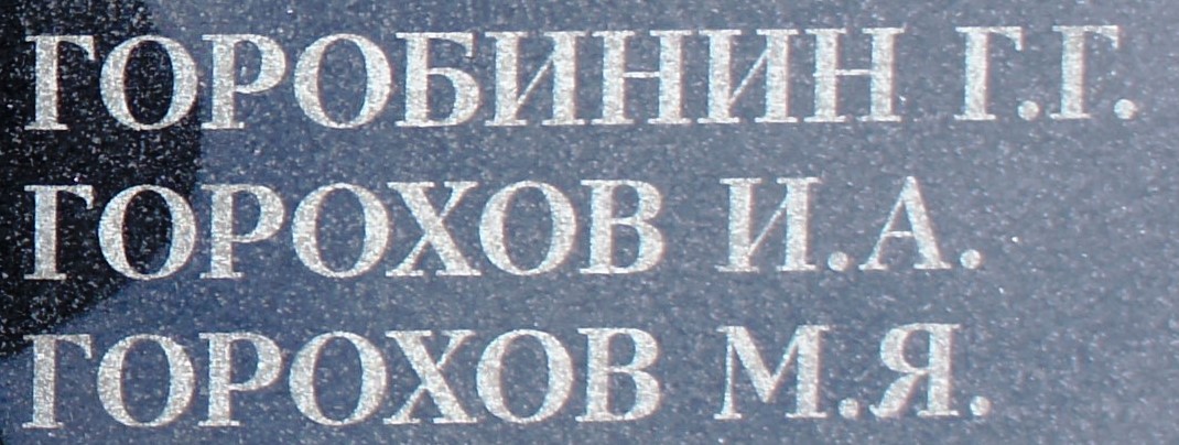 gorohov i a 2