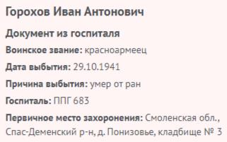 gorohov i a