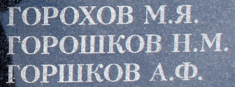 goroshkov n m