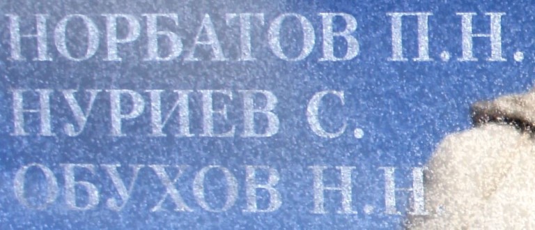 nuriev s