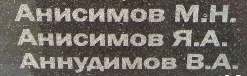 anisimov ya a 1