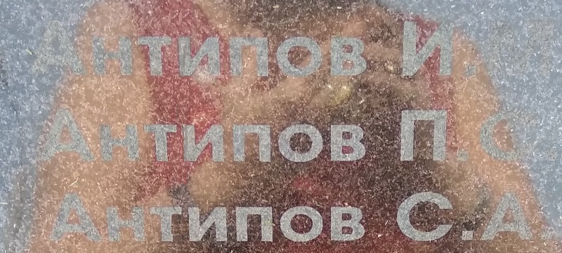 antipov p s