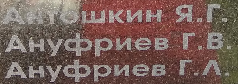 anufriev g l
