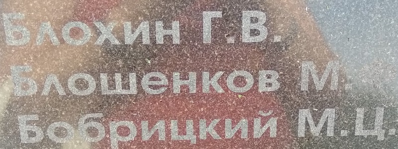 bloshenkov m f