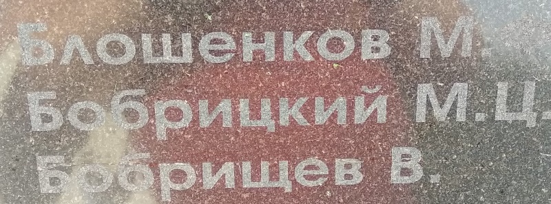 bobrickiy m c