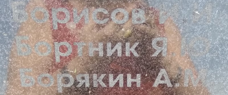 bortnik ya yu
