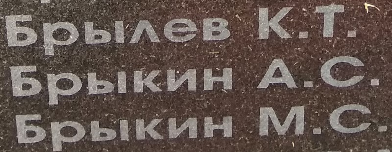 brykib a s