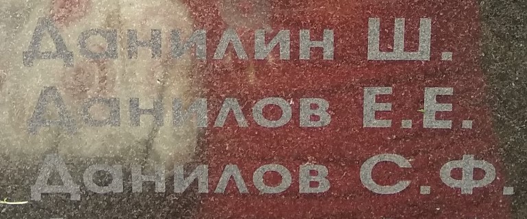 danilov e e